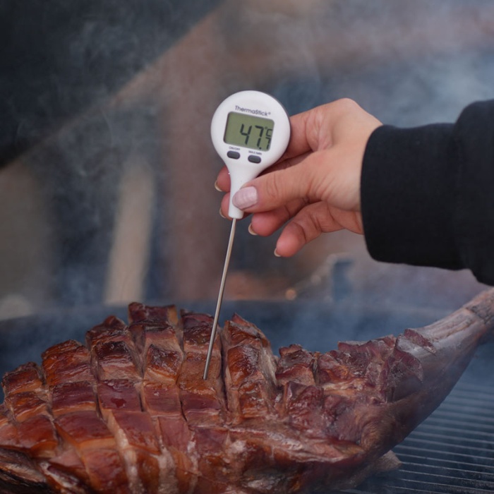 thermastick-pocket-thermometers (6)_6aa22f735d3ae676526918.jpg